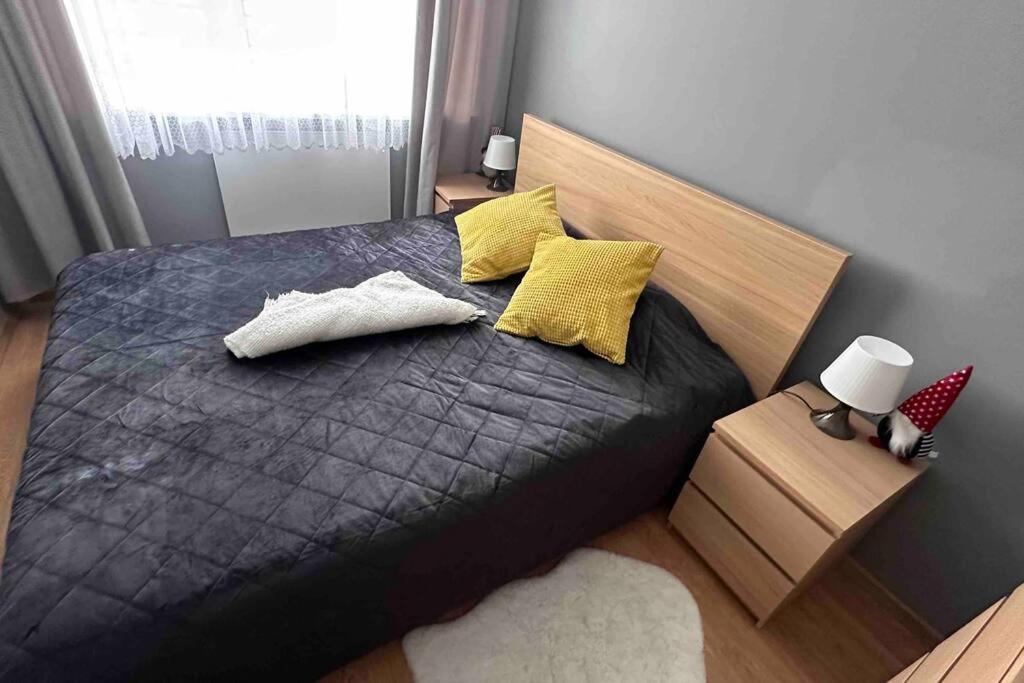 Cozy Place Zabrze Extérieur photo